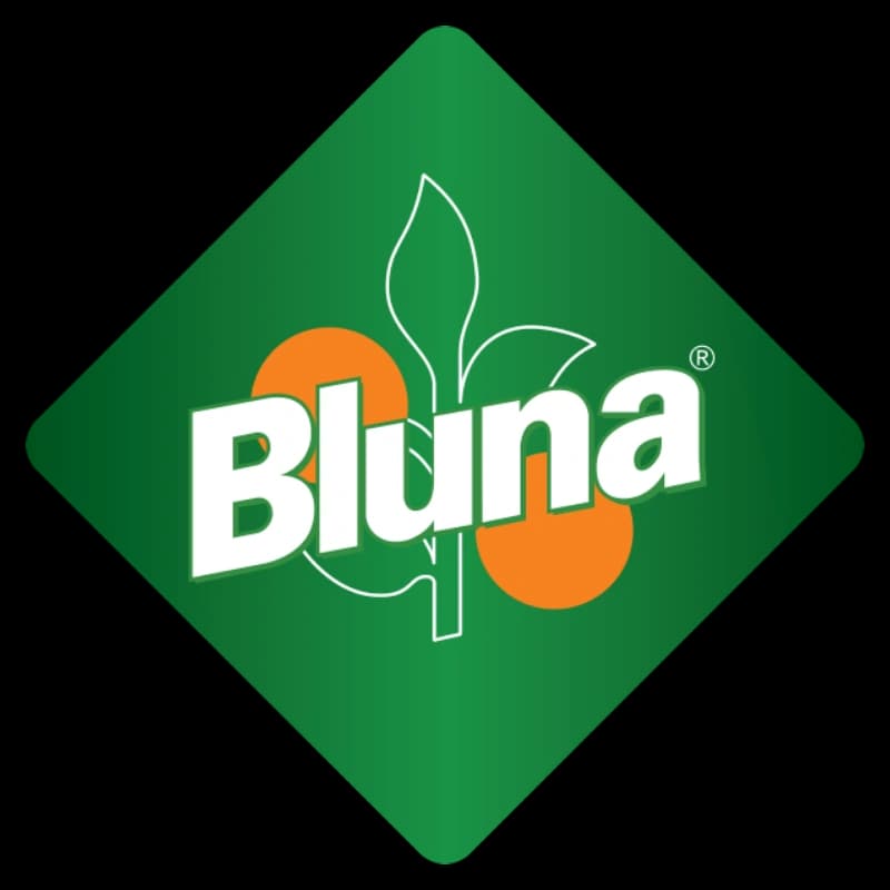 Bluna Zitrone 24x0,33l 
