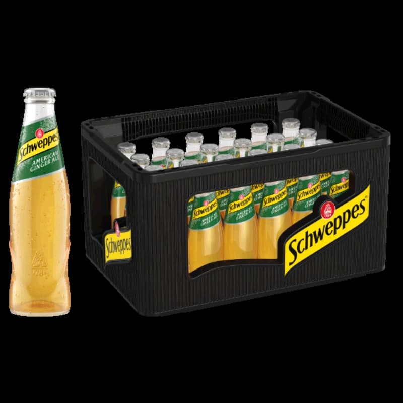 Schweppes Ginger Ale 24x0,2l 
